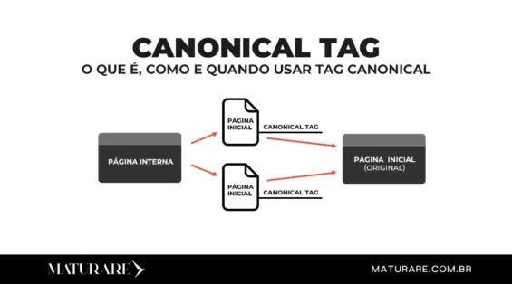 Canonical Tag: O que é, como e quando usar Tag Canonical