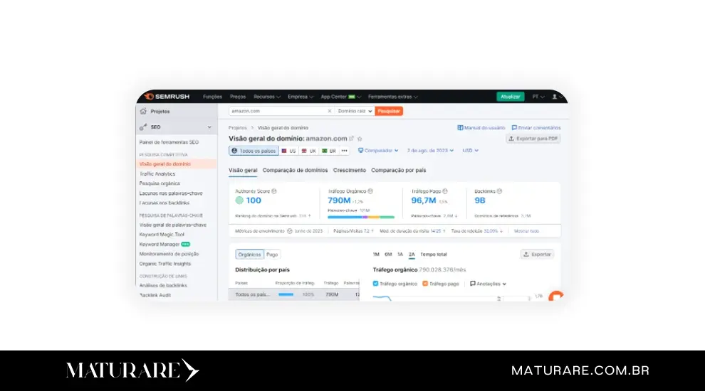 Visão geral do domínio (1)