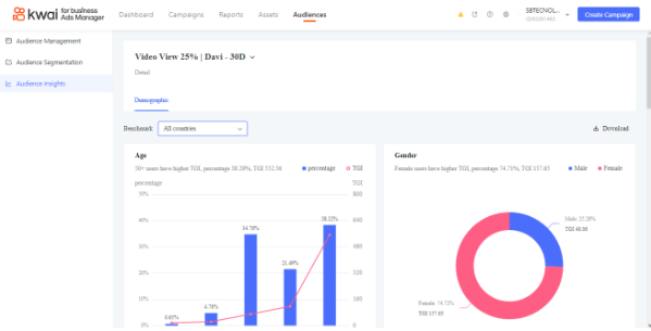 Como ver os resultados com a audiência no kwai ads